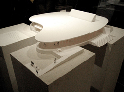 Model of the competition