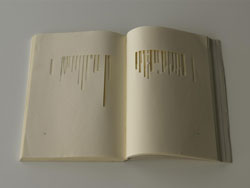 Ryuta Iida "poem, book" 2007 