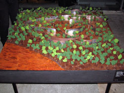 Model of the HUA gSpine Wallh