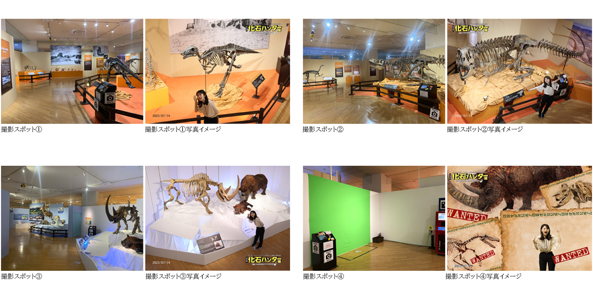 化石ハンター展撮影スポットの様子と写真イメージ