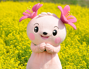 社会福祉施設の協力とマイナ・アシスト®2の活用でスムーズで効率的な