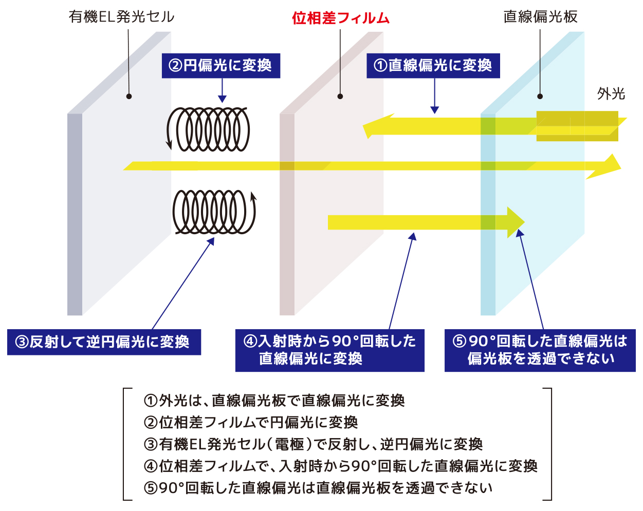 位相差フィルムの原理