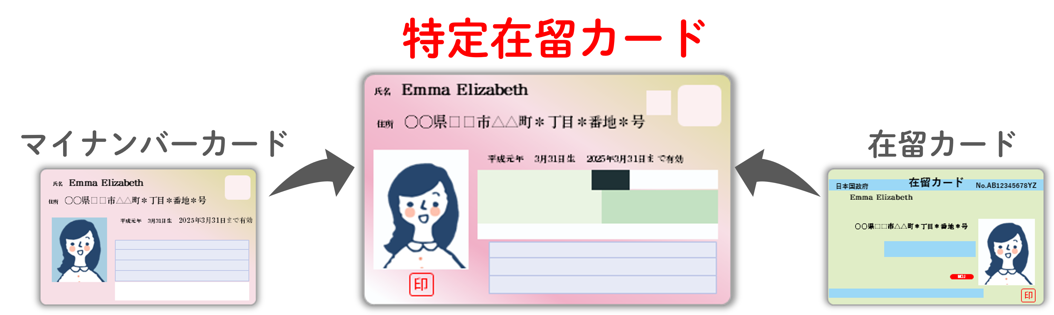 特定在留カードのイメージ画像