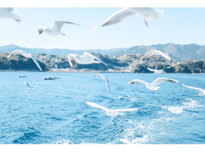 展示写真のイメージ