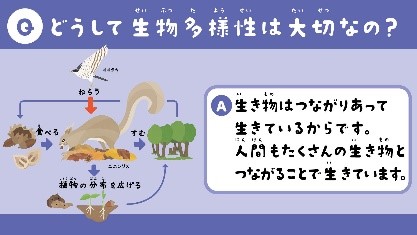 生物多様性イメージ