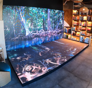 フロアLEDビジョンの仕様風景