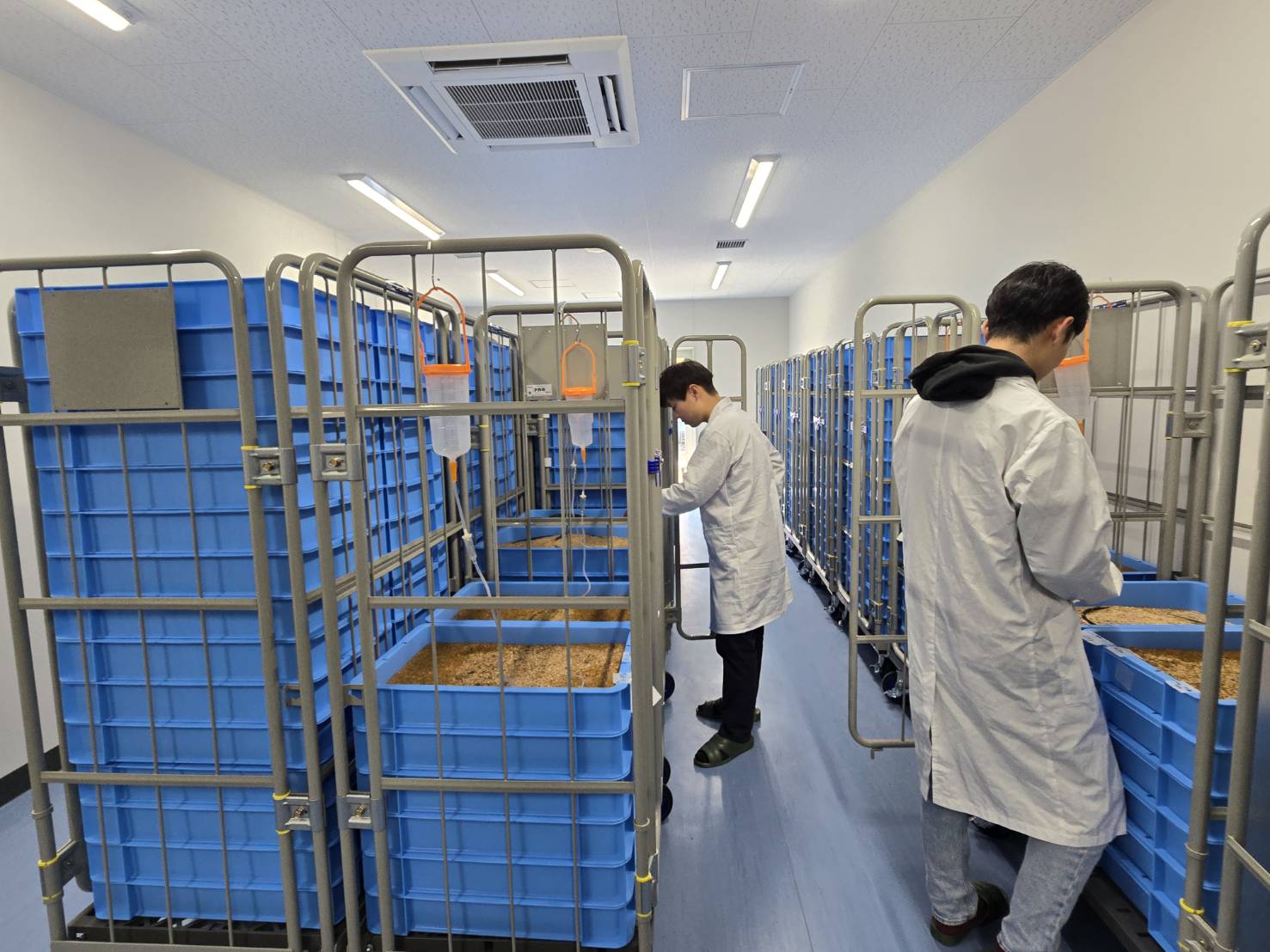 愛媛大学のラボプラントの様子