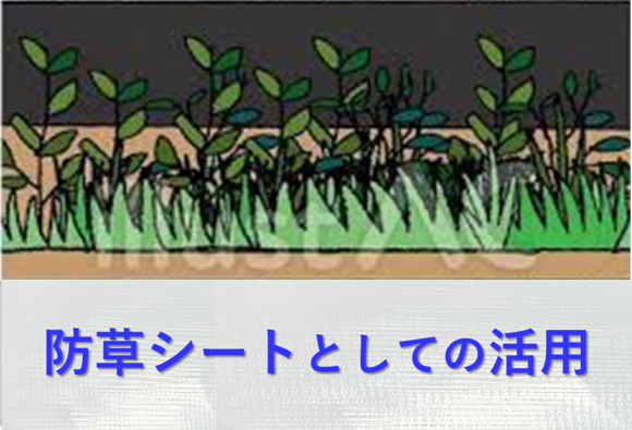 防草シートのイメージイラスト