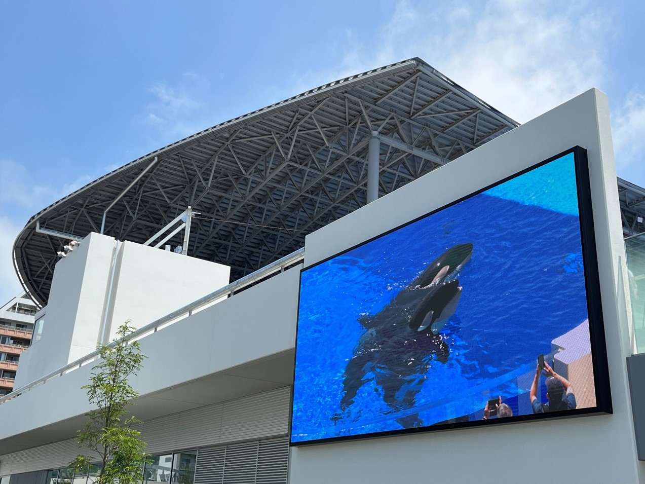 神戸須磨シーワールドへのLEDビジョン導入事例