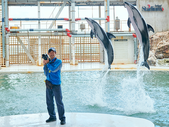 城崎マリンワールドのイメージ画像