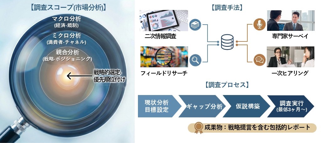現状分析・ギャップ分析・仮説構築・調査実行の調査プロセスを経て、目標設定、下層的なアプローチから「勝てる市場」を特定し、戦略提言を含む包括的レポートを作成します。