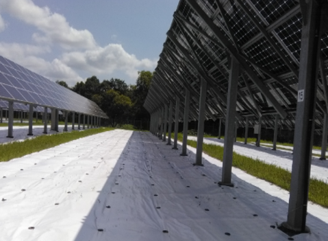 DNP太陽光発電所用反射シートの採用事例の写真