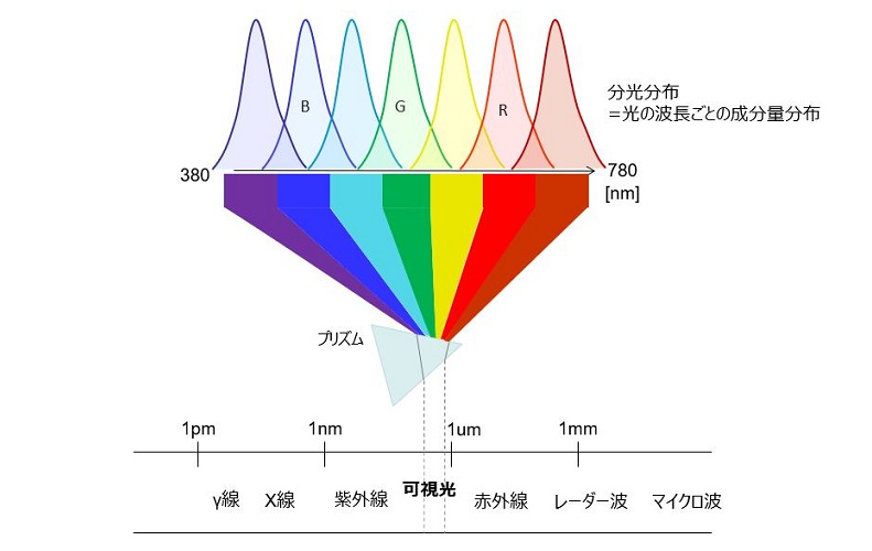 色のスペクトルを説明する図。色ごとに異なる波長があることが分かる。