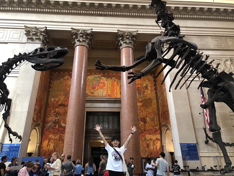 アメリカ自然史博物館で恐竜の展示物を見上げる宮澤さん