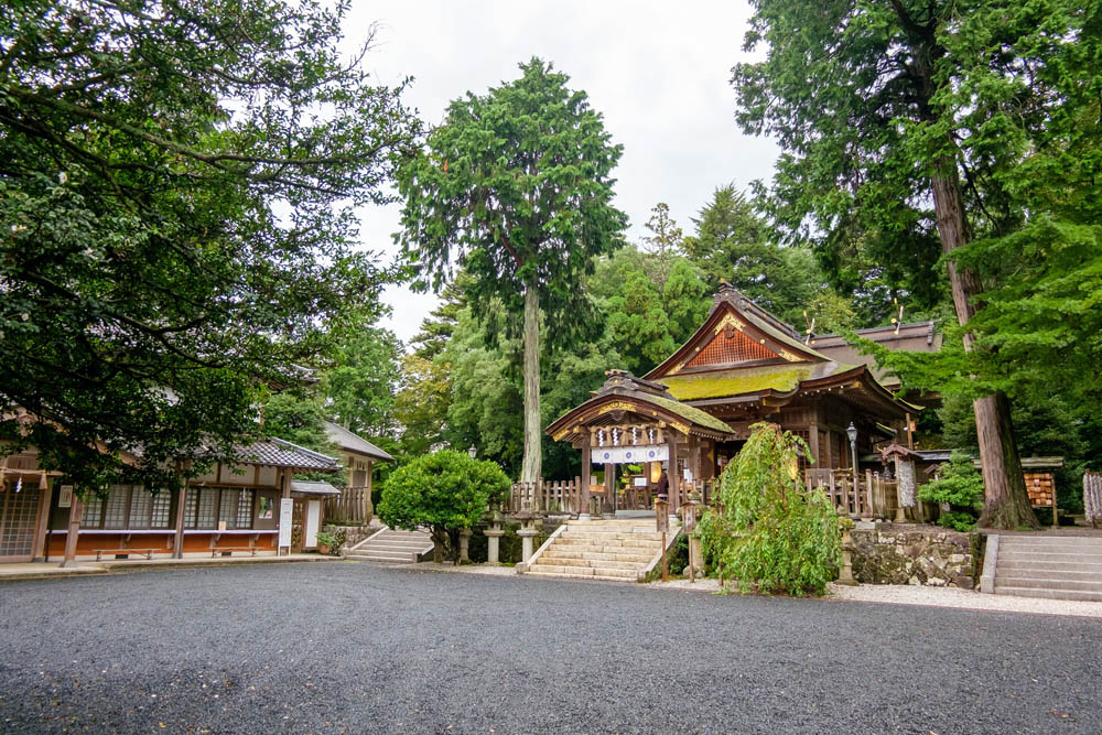 鳥取県の伝統芸能、国の重要無形民俗文化財「麒麟獅子舞」をデジタル