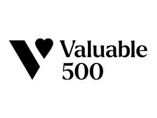 The Valuable 500